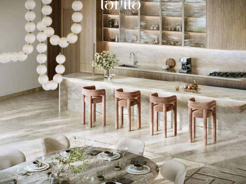 LAVITA_OASIS_RENDER12 copy.webp 3 copy